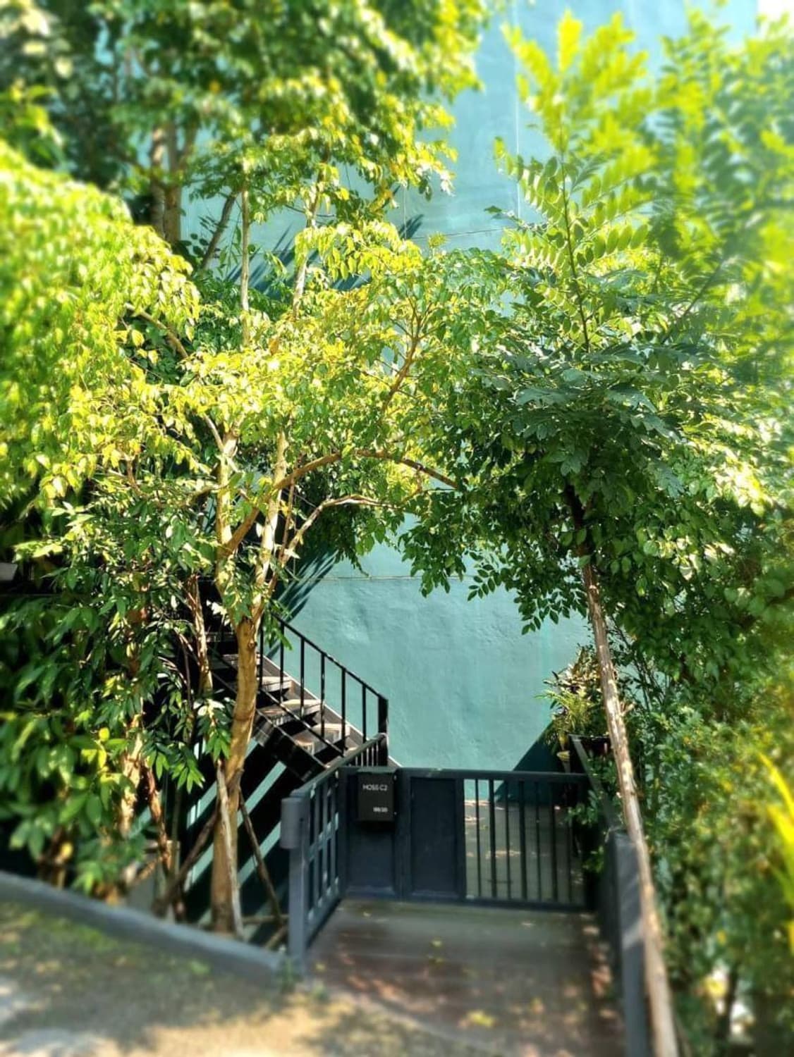 4 ห้องนอน บ้าน สำหรับ ขาย ใน Mueang Chiang Mai - Image 17