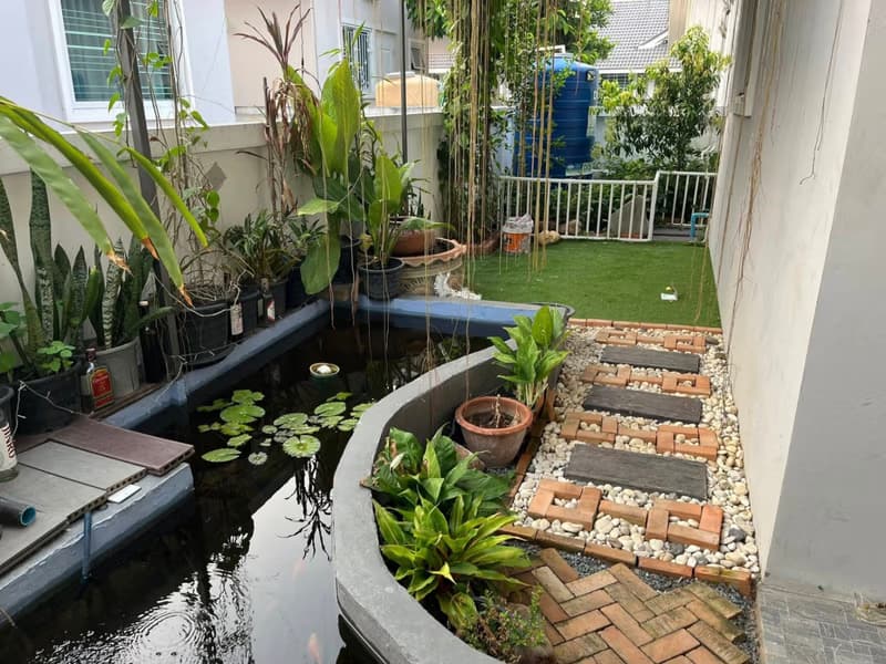 3 Bed House for Rent in San Sai District