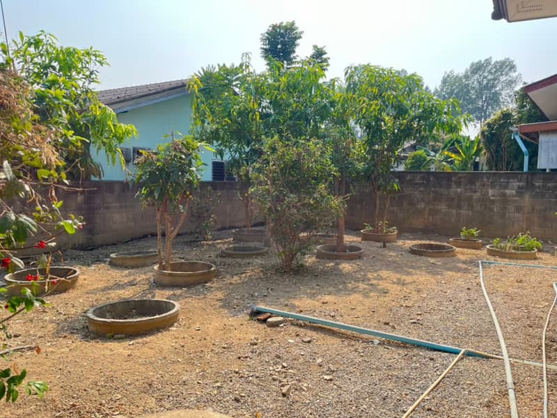 3 Bed House for Rent in Saraphi District