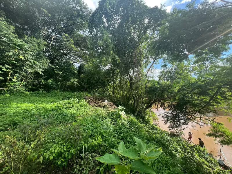 Land for Sale in Mueang Kaeo, Mae Rim