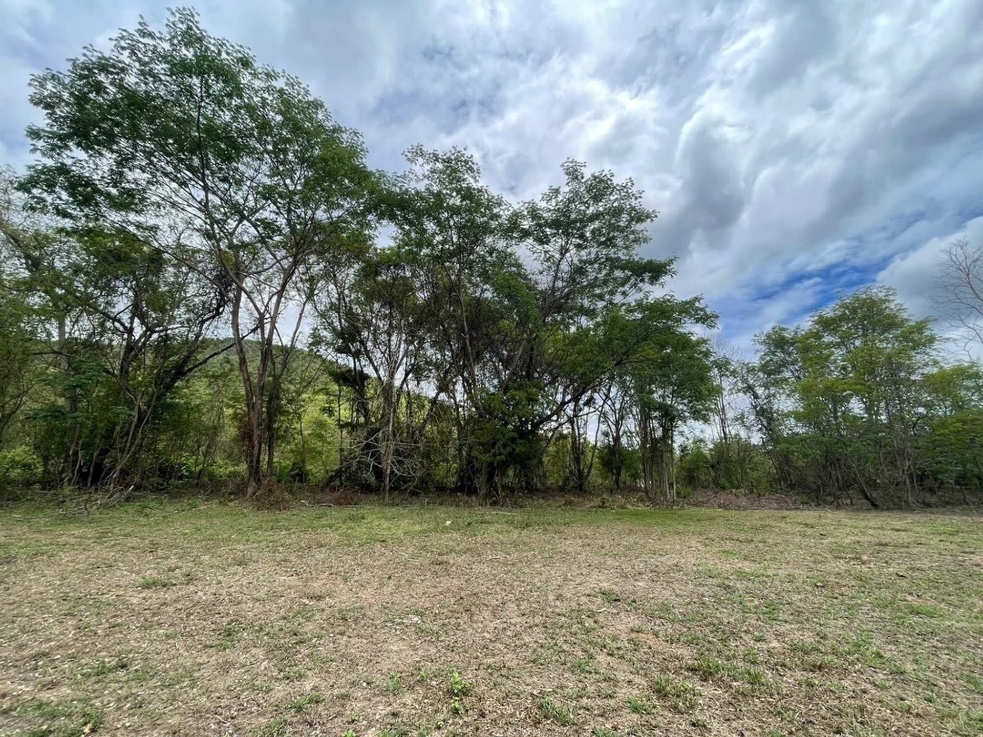  land 用于 出售 在 Doi Saket District - Image 2