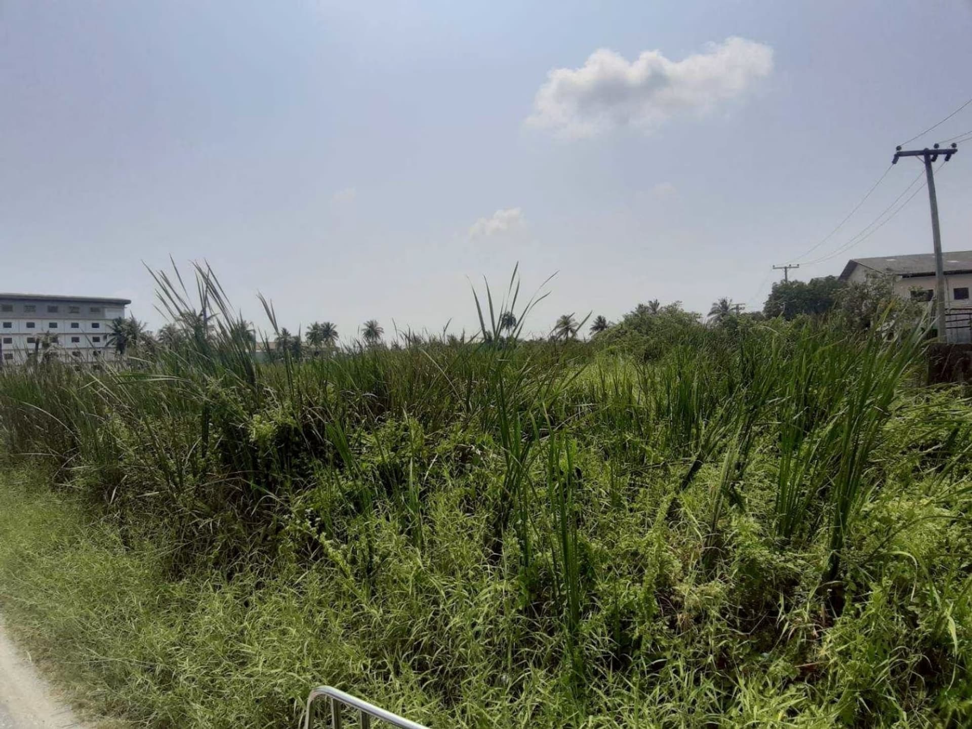  land สำหรับ ขาย ใน Bang Bon - Image 3