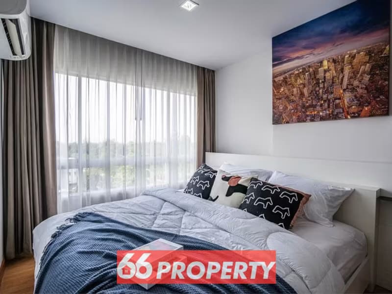 1 Bedroom Condo