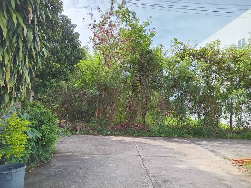  Land for Sale in Mueang Chiang Mai