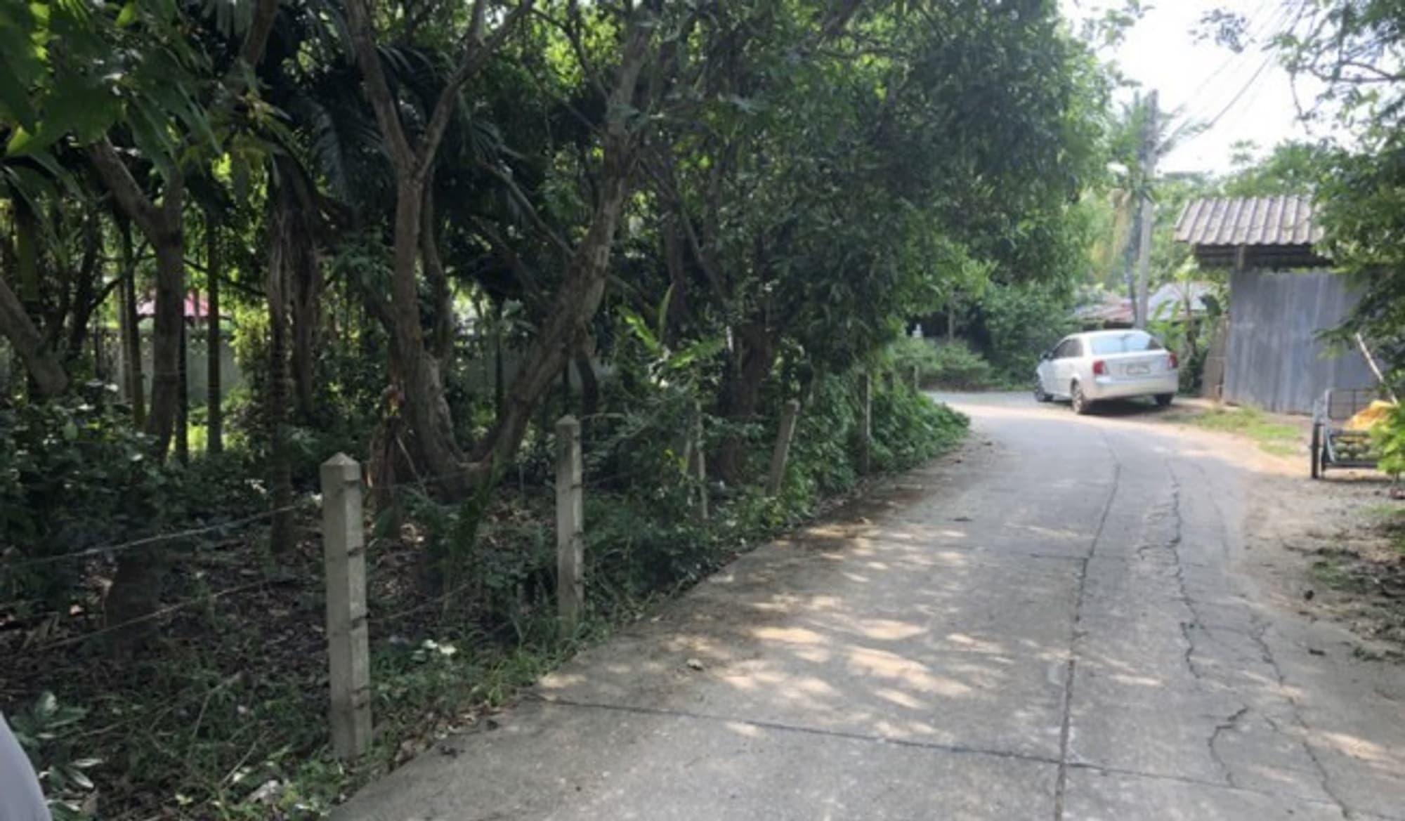  land 用于 出售 在 San Sai District - Image 4