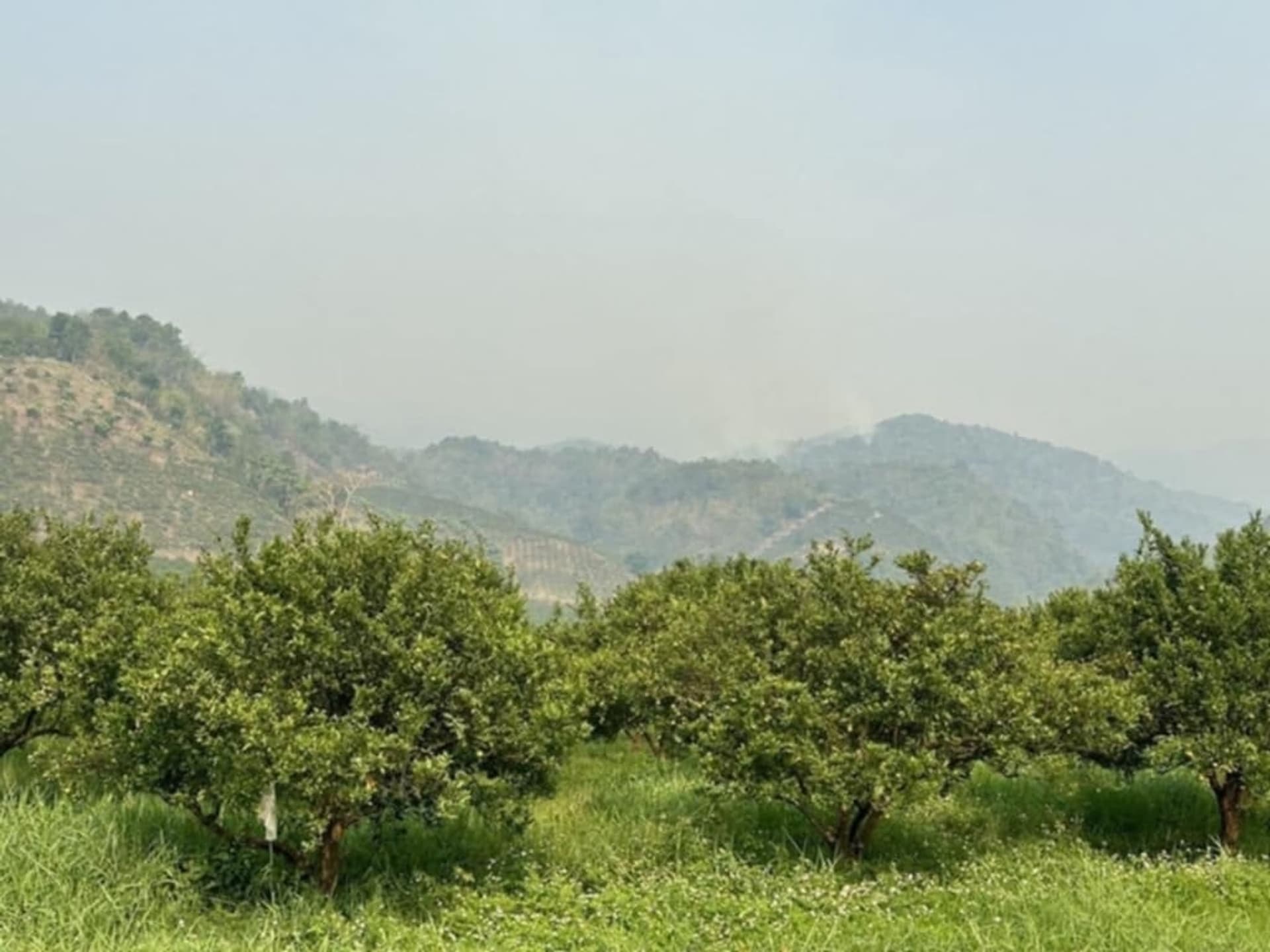  Land for Sale in Fang District - Image 18