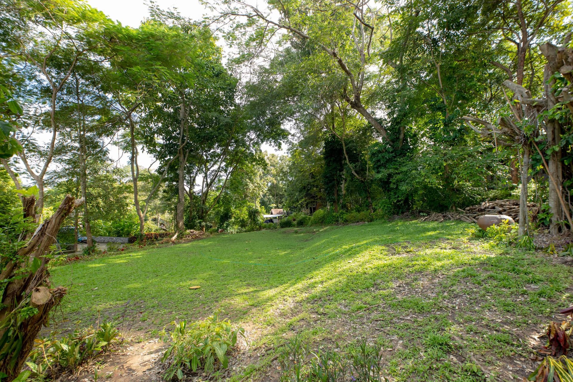 3 Bed House for Sale in Mae Rim - Image 5
