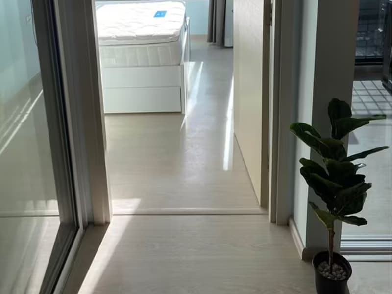 1 Bedroom Condo For Rent At The Tree Sukhumvit 64