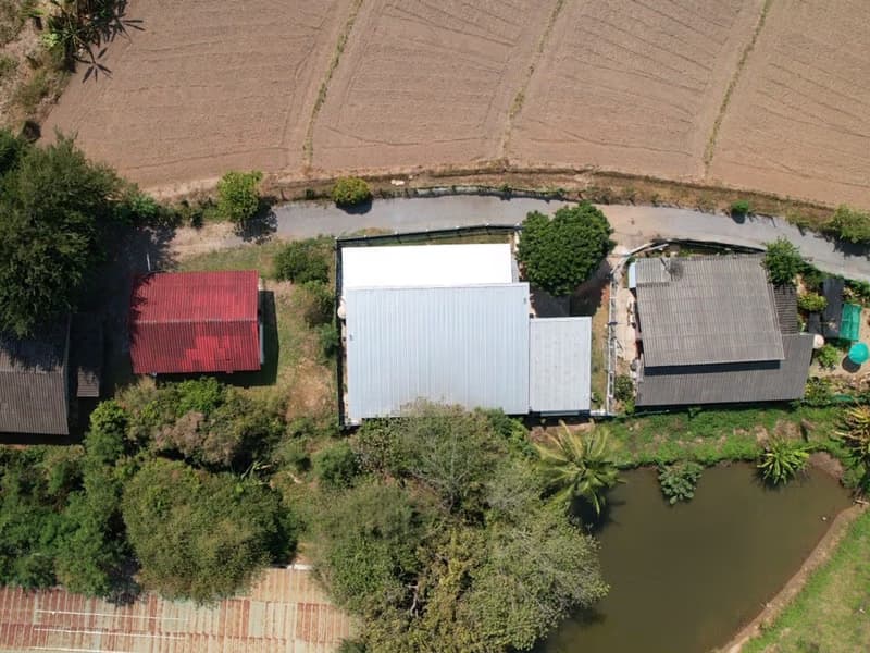 Land for Sale in Ki Lek, Mae Taeng