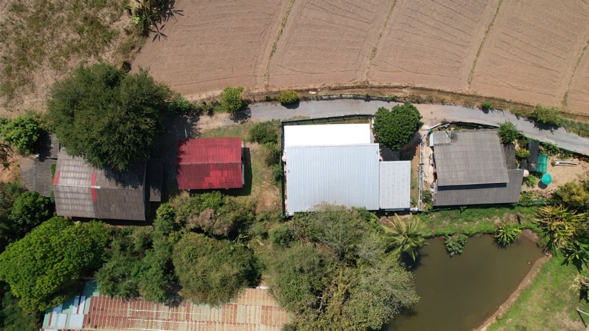 Land for Sale in Ki Lek, Mae Taeng - Image 4