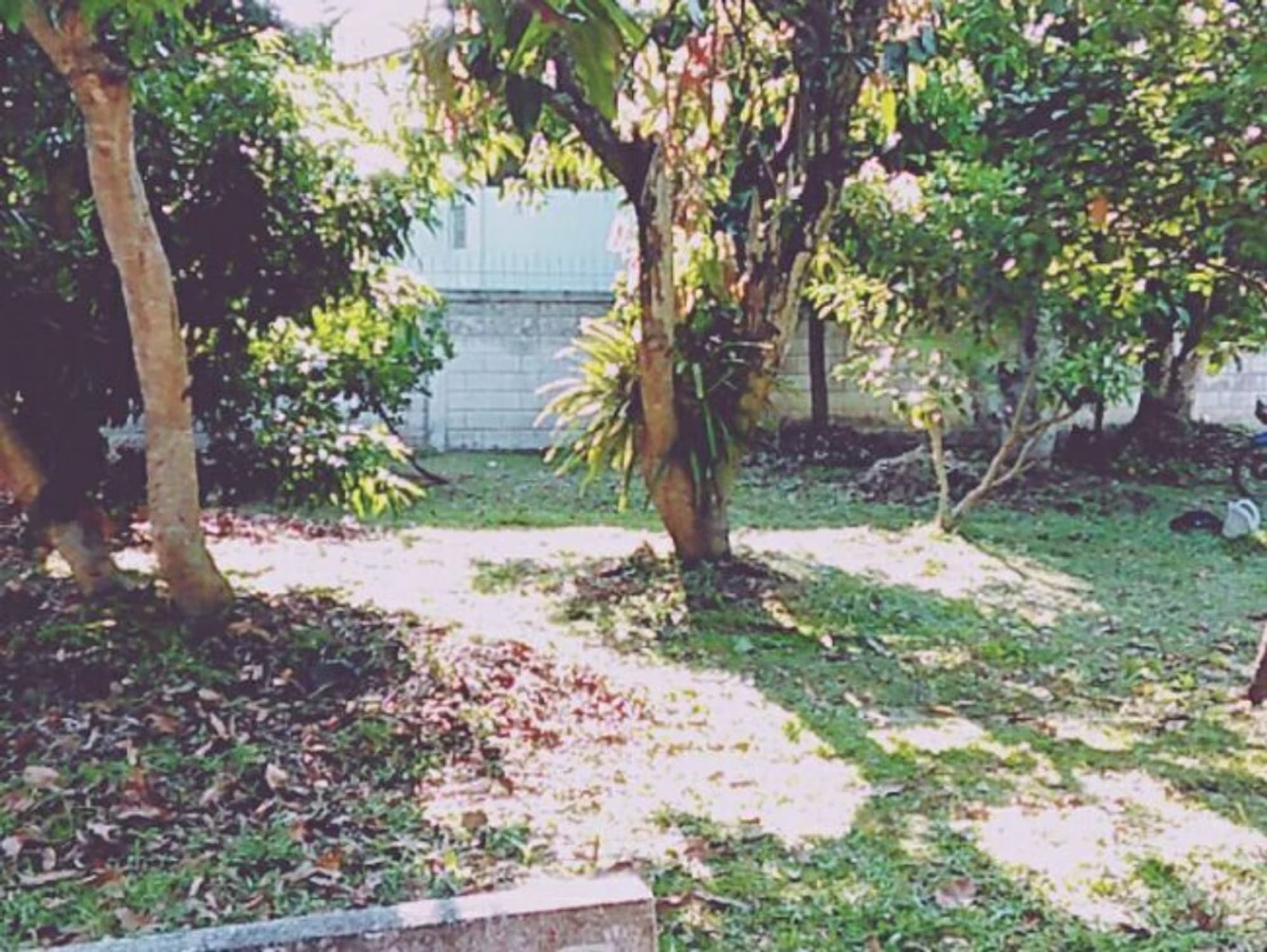  Land for Sale in Mueang Chiang Mai District - Image 4