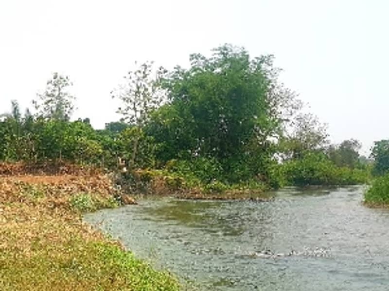 Riverfront Land for Sale in Cho Lae, Mae Taeng, Chiang Mai