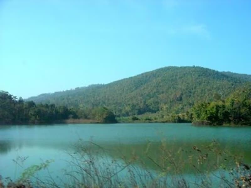  Land for Sale in Mae Taeng District