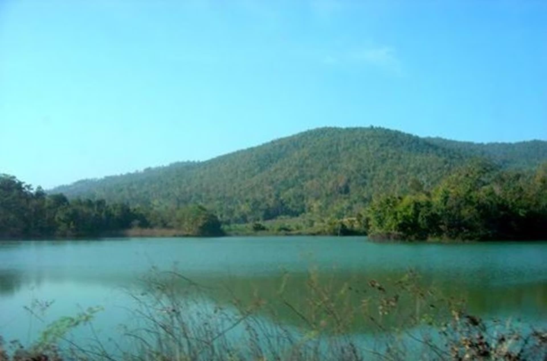  land 用于 出售 在 Mae Taeng District - Image 9