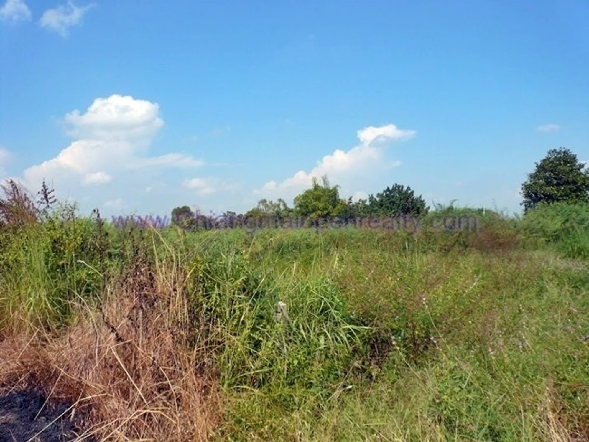  Land for Sale in Ban Na Doem District - Image 2