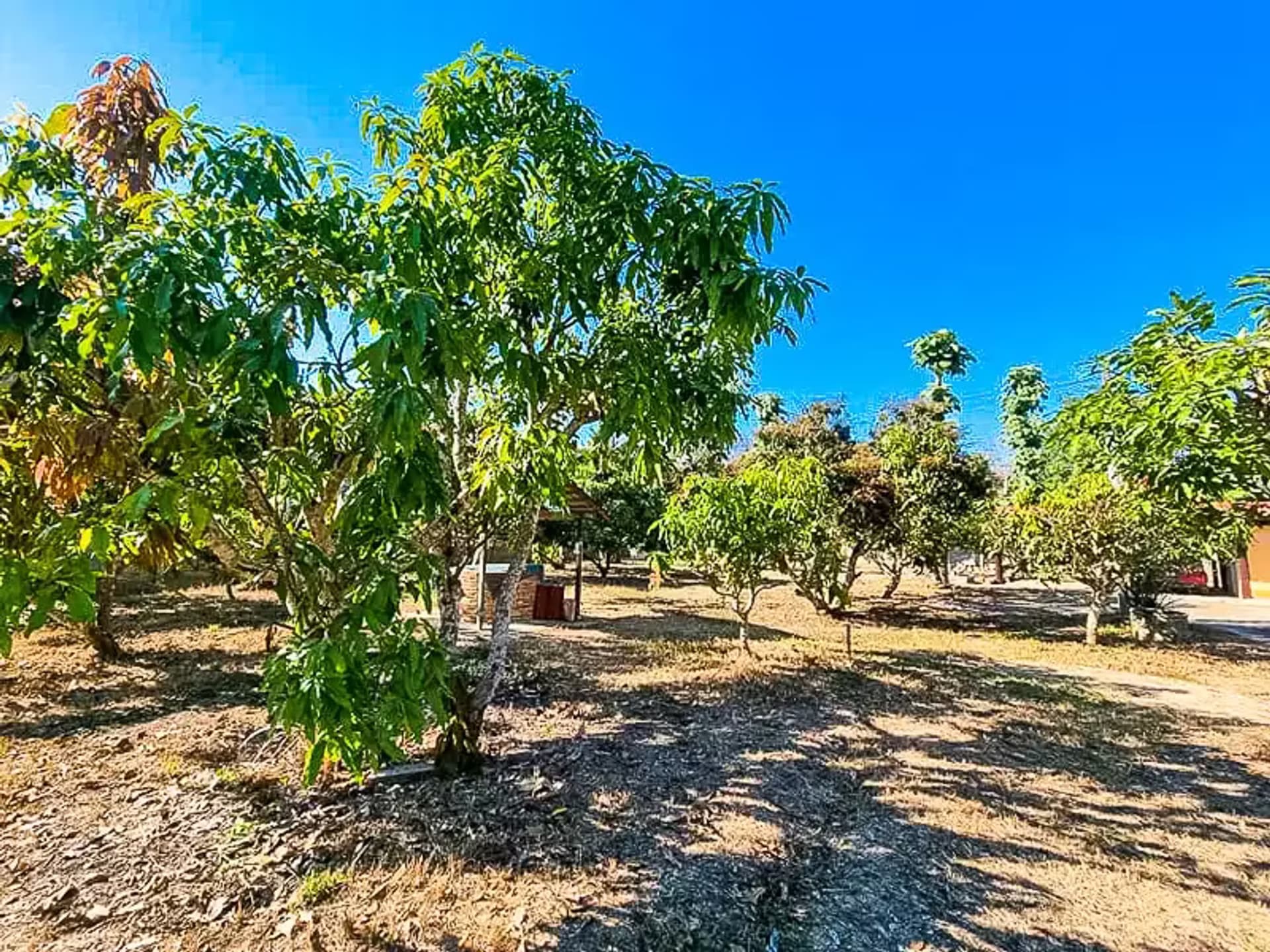 3 Bedroom House - Image 18