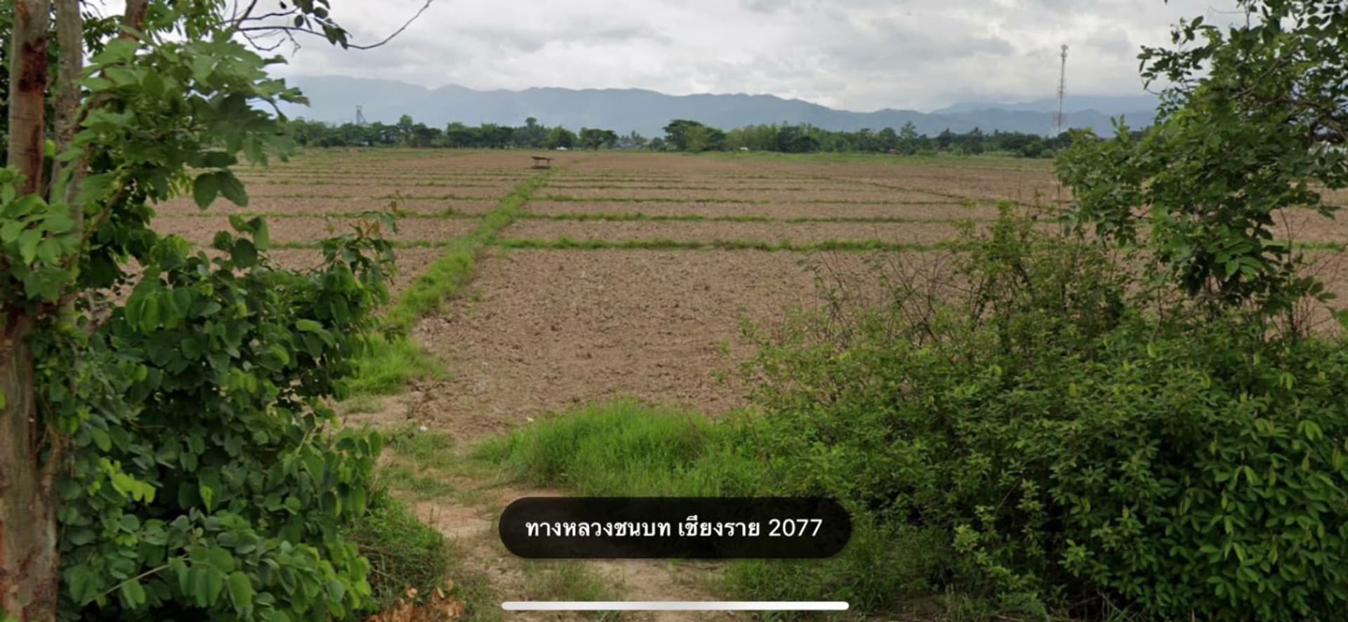  Land for Sale in Mueang Chiang Rai District - Image 5