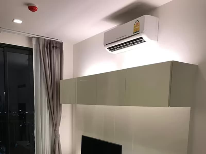 1 Bedroom Condo