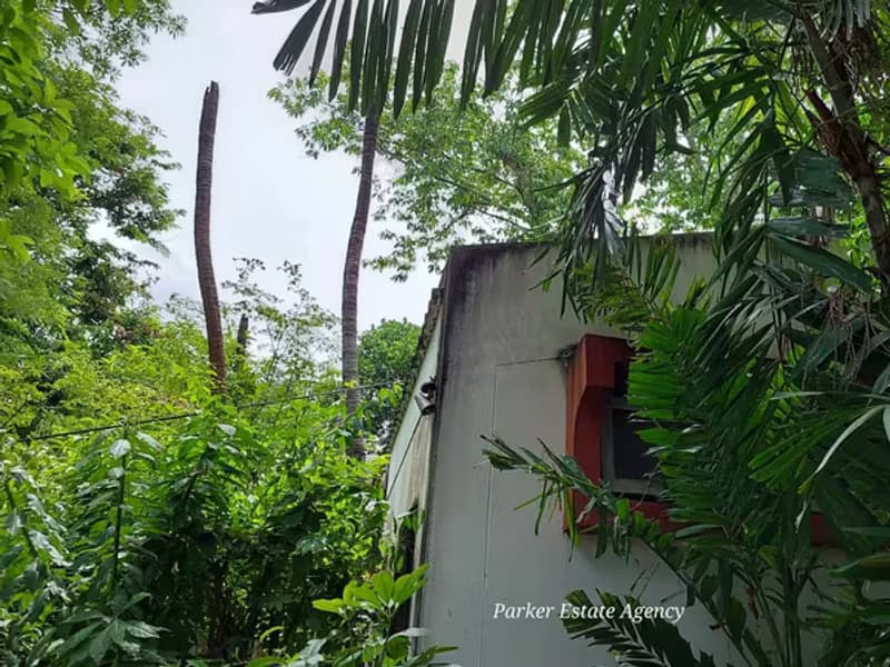 House for Sale in Chang Phueak, Mueang Chiang Mai.