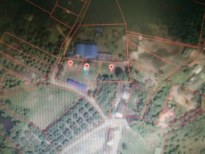  Land for Sale in อำเภอสันป่าตอง