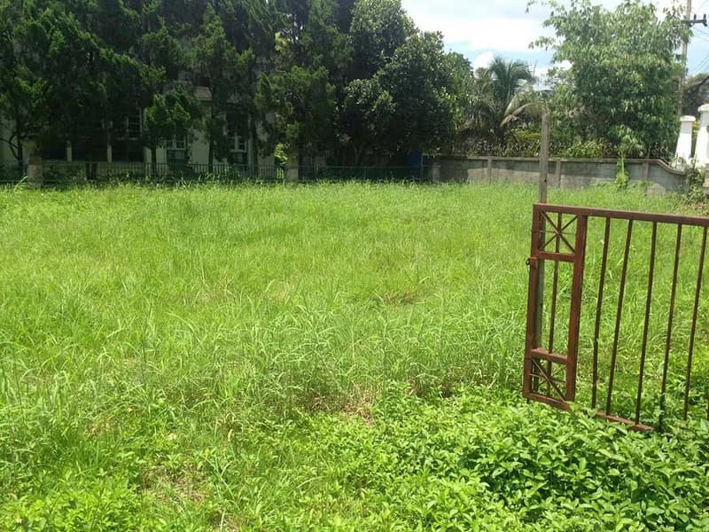Code 389 Land in a village