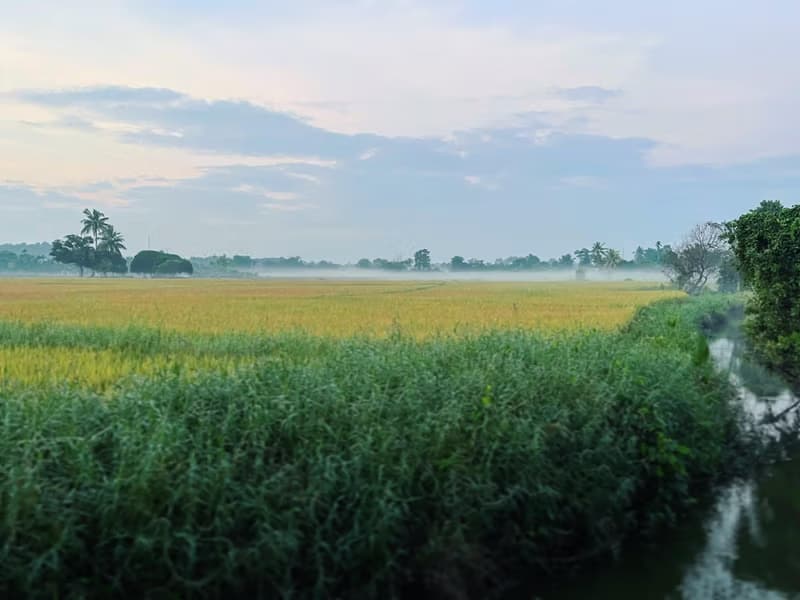 House for Sale in San Sai Luang, San Sai.