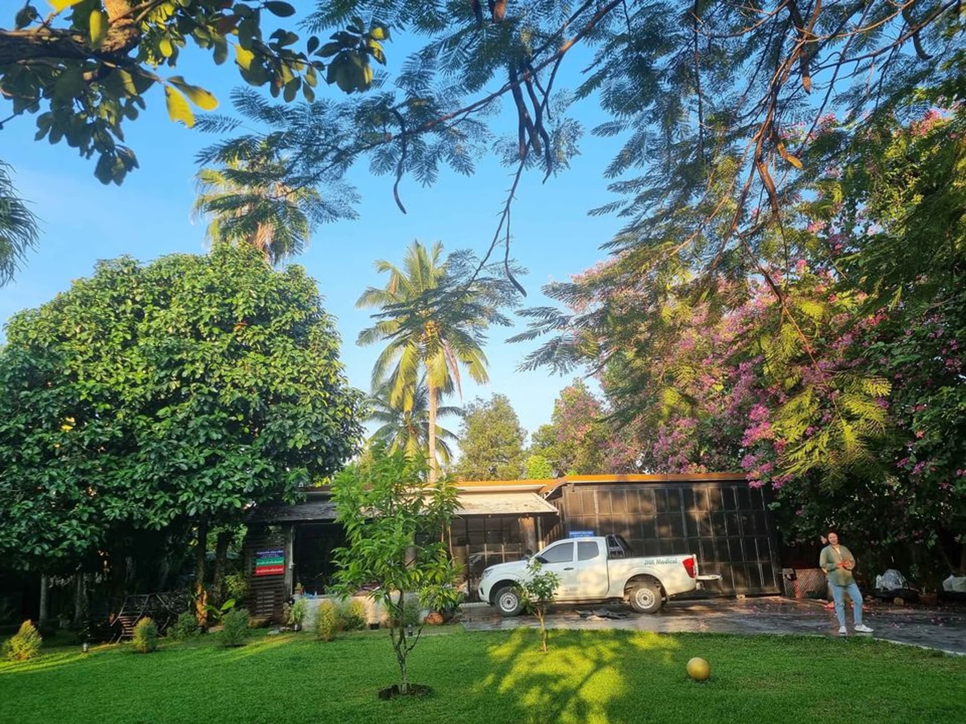 House for Sale in , San Sai.   - Image 3