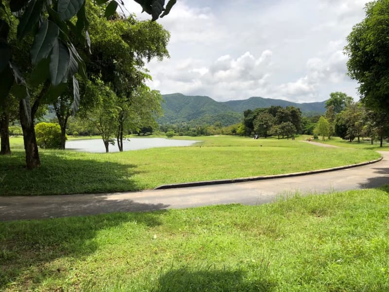 3 Bed House for Rent and Sale in Mae On District