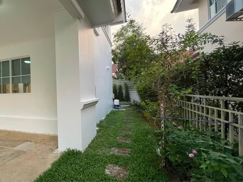 House for Rent in Nong Chom, San Sai.