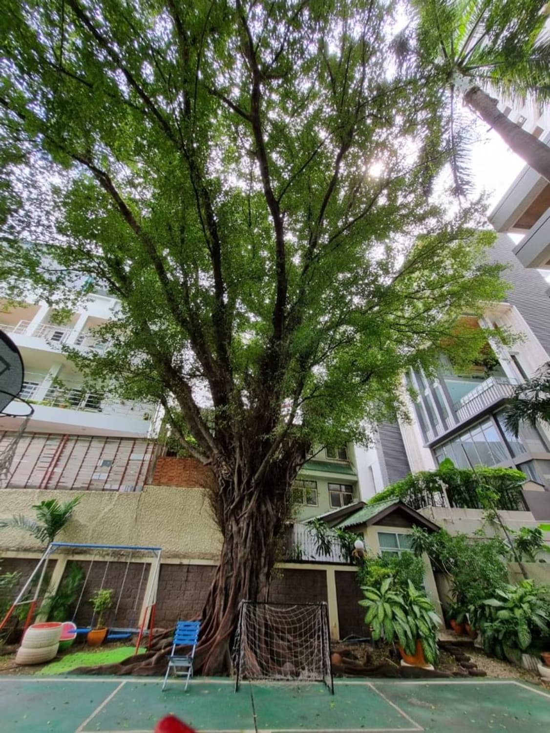 House for Rent in Watthana.   - Image 17
