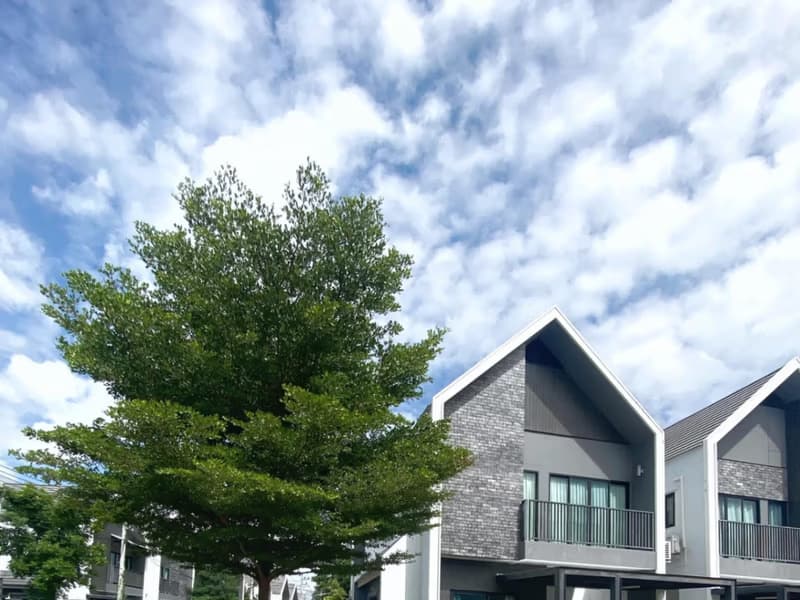 3 Bed House for Rent in San Sai