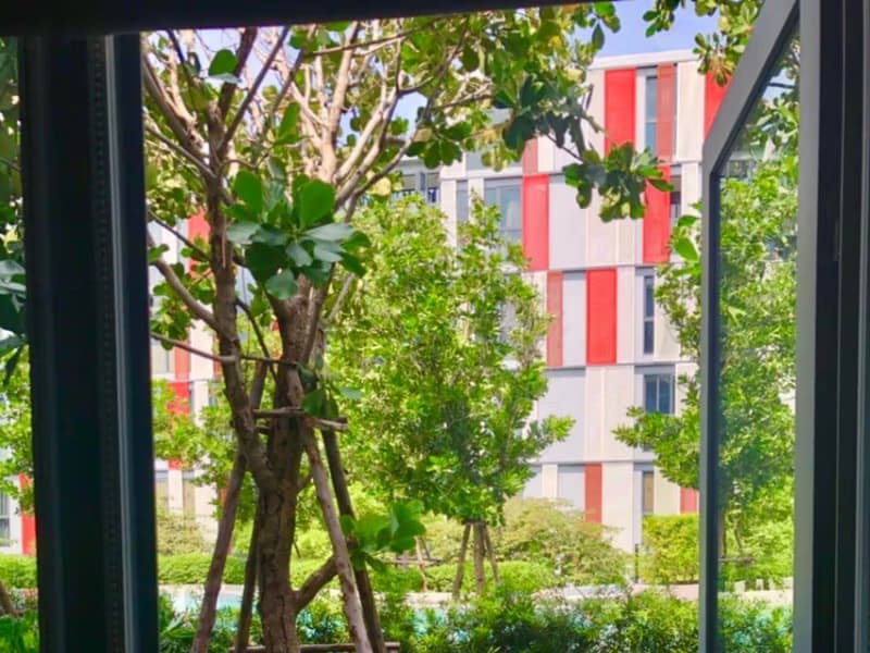 1 Bedroom Condo