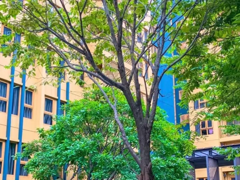 2 Bedroom Condo For Rent 