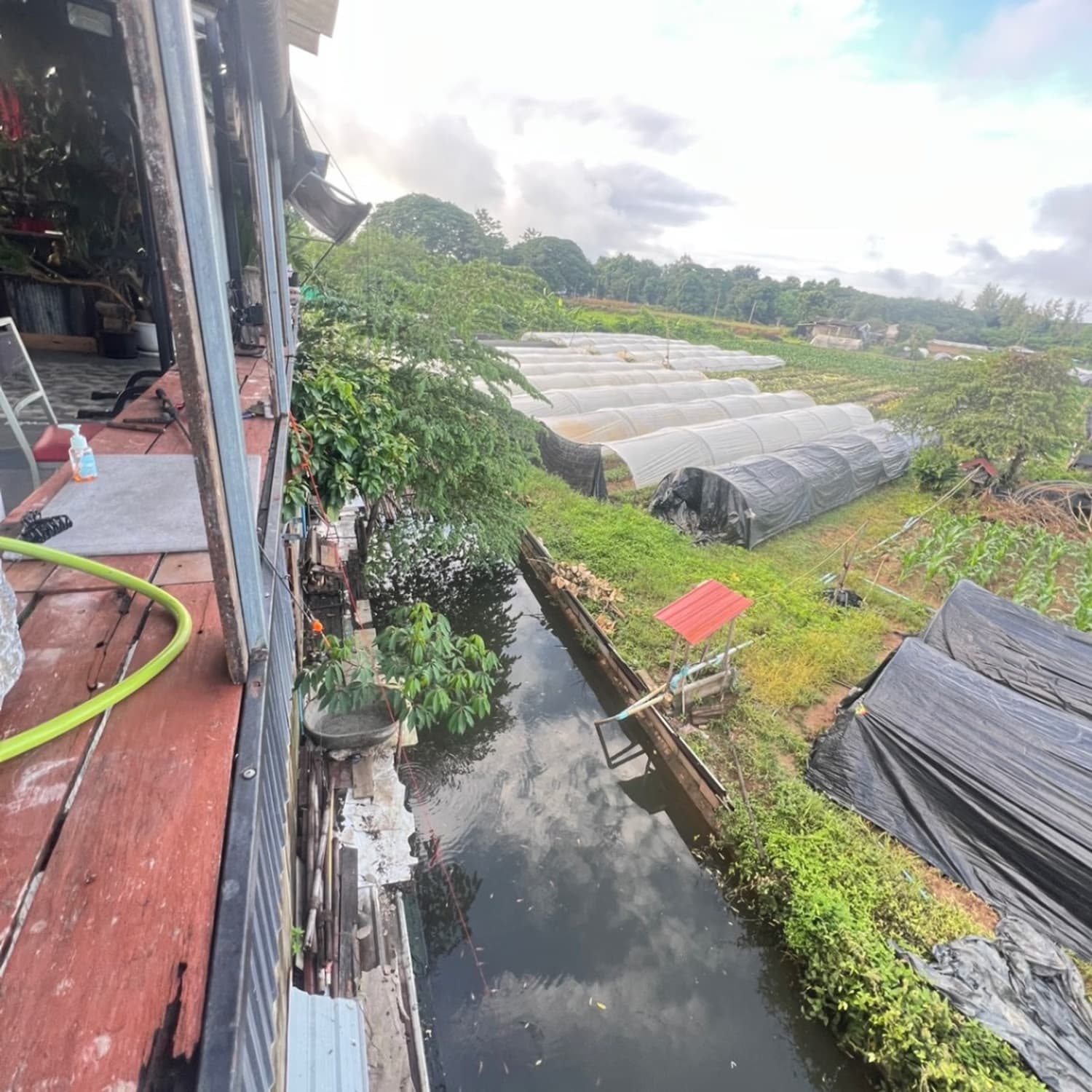 8 ห้องนอน บ้าน สำหรับ ขาย ใน Mae Rim District - Image 12