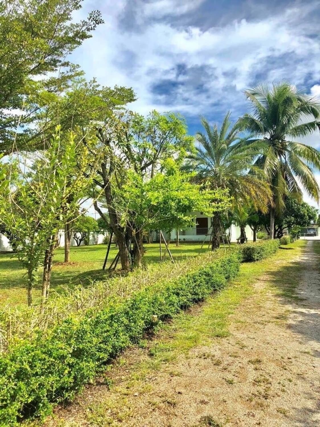 3 Bed House for Sale in Mae On District - Image 3