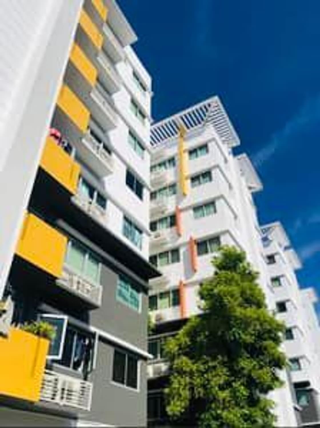 Condo for Sale, Rent at My Condo Sukhumvit 103 - Image 5