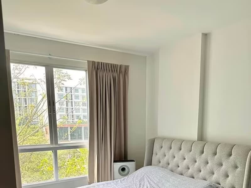 1 Bedroom Condo