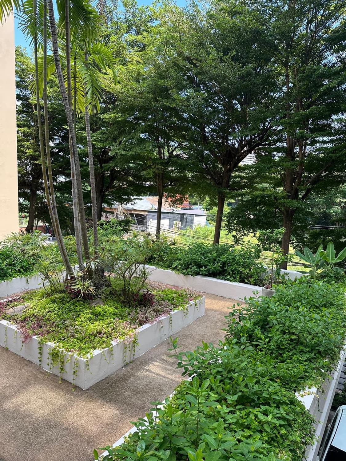undefined Bed Condo for Rent in Mueang Chiang Mai - Image 12