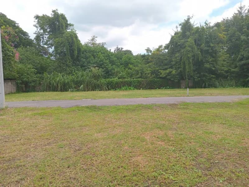  Land for Sale in Mueang Chiang Mai District