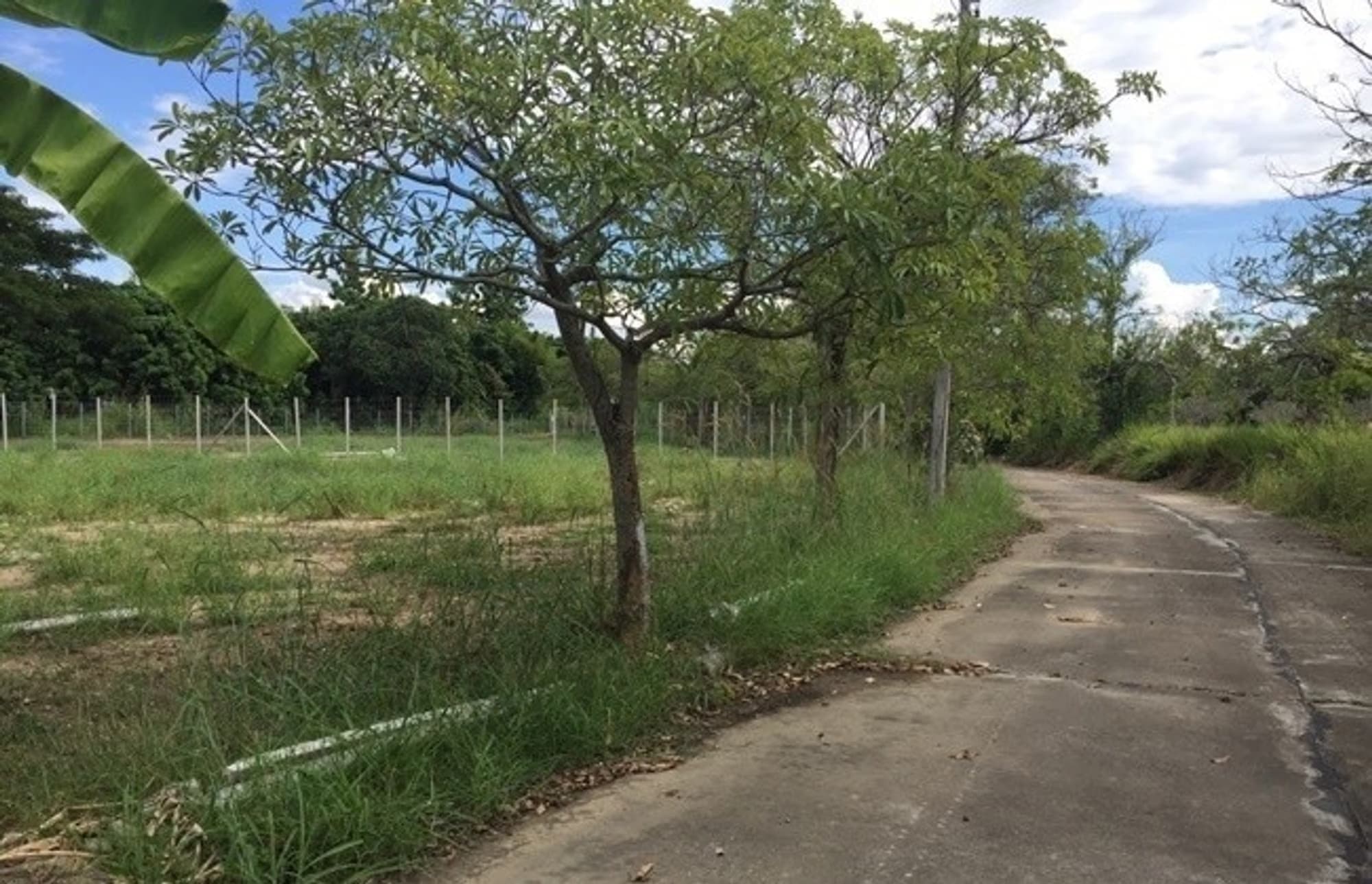  land สำหรับ ขาย ใน Hang Dong - Image 3