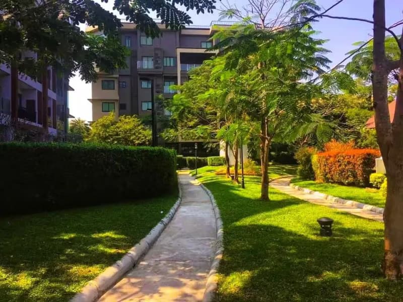 1 Bedroom Condo