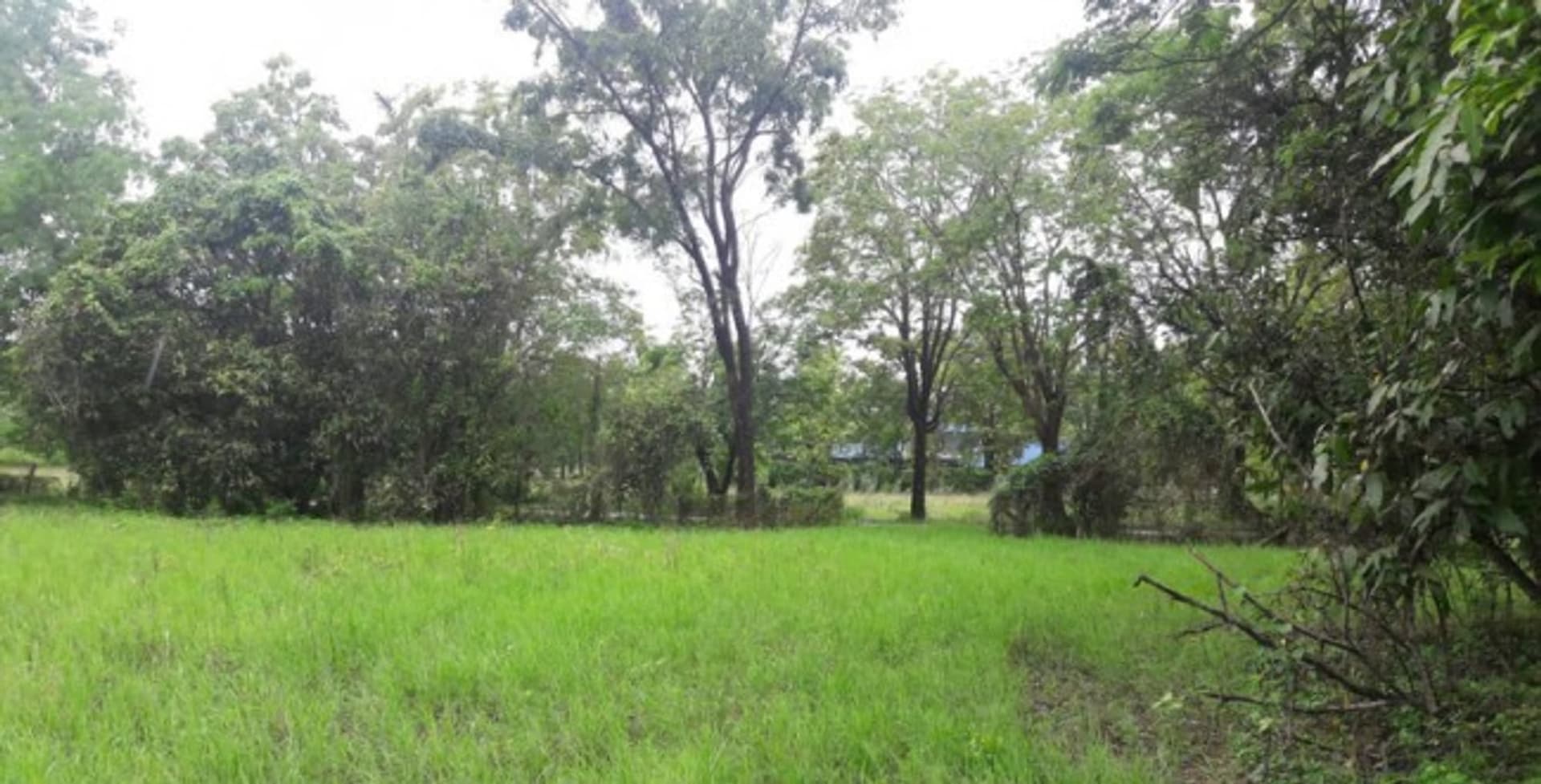  land 用于 出售 在 Hang Dong District - Image 2