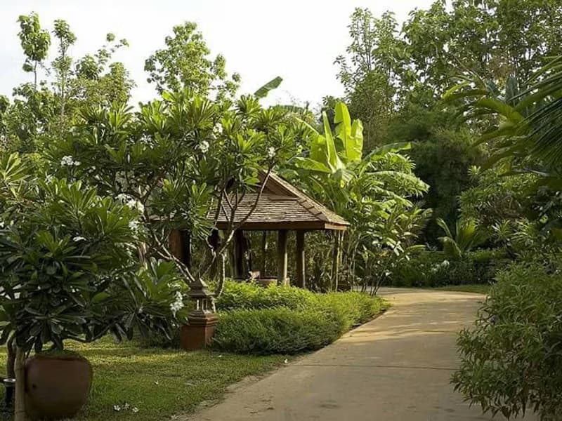 Code 1422 Resort-style house close to Ping river for sale
