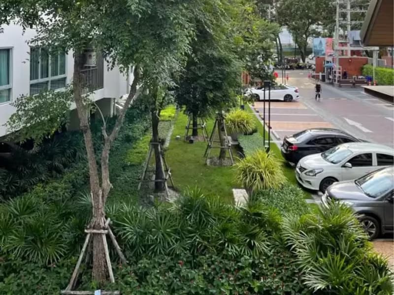 1 Bedroom Condo