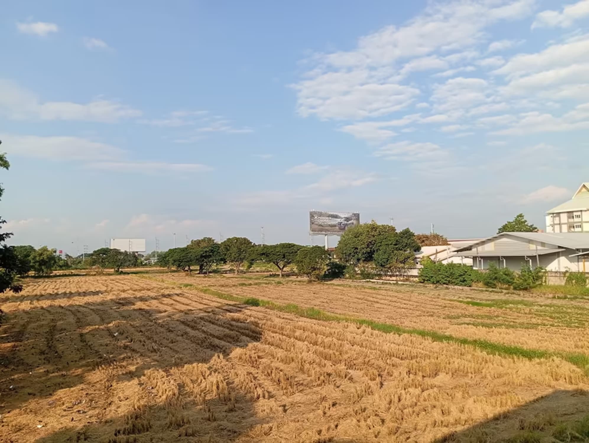 House for Rent in Tha Sala, Mueang Chiang Mai. - Image 5