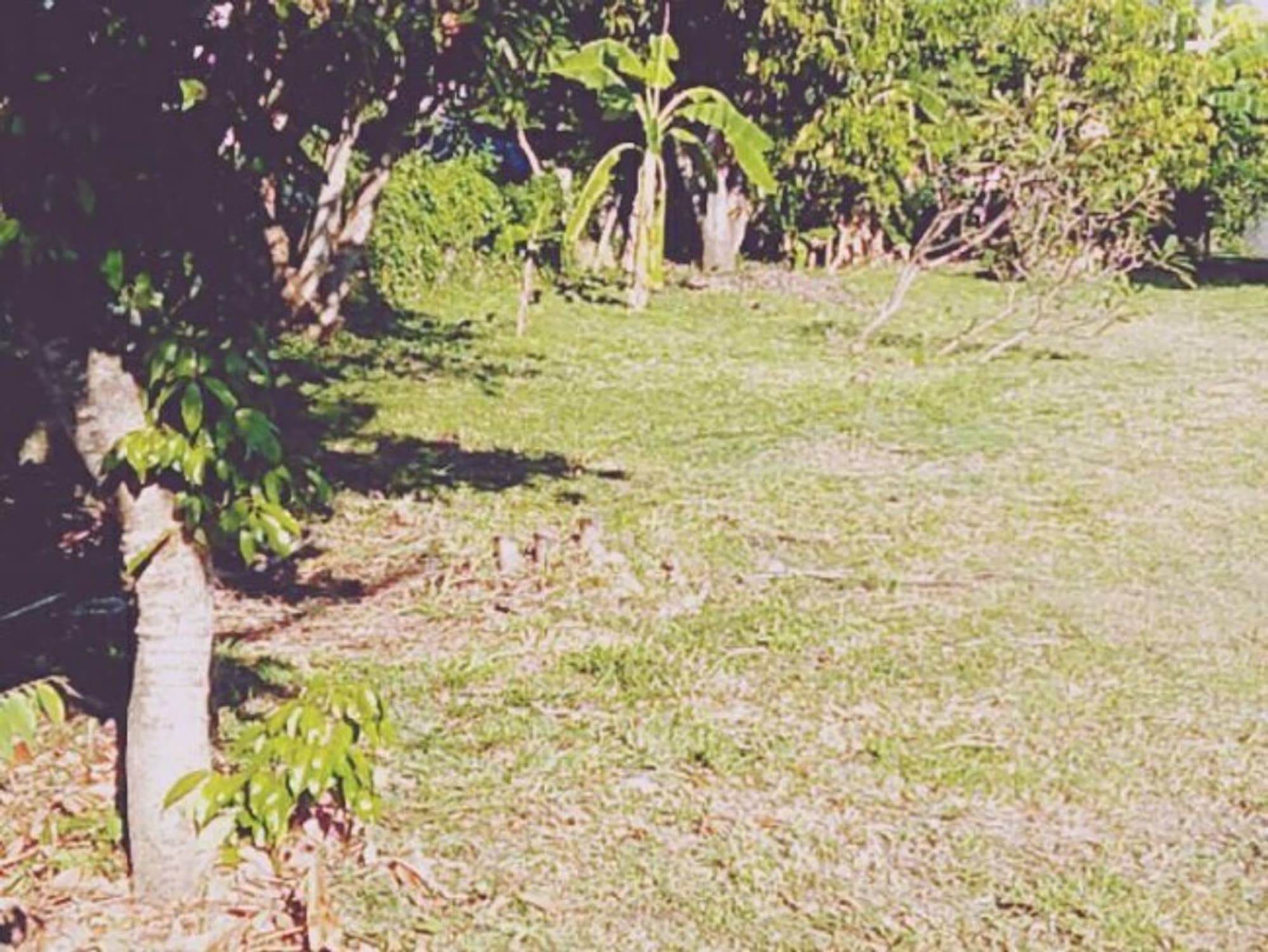  Land for Sale in Mueang Chiang Mai District - Image 10