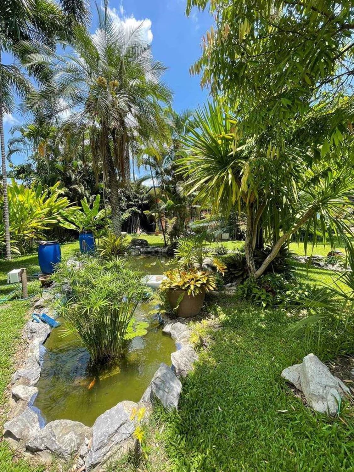 House for Sale in , San Sai.   - Image 19