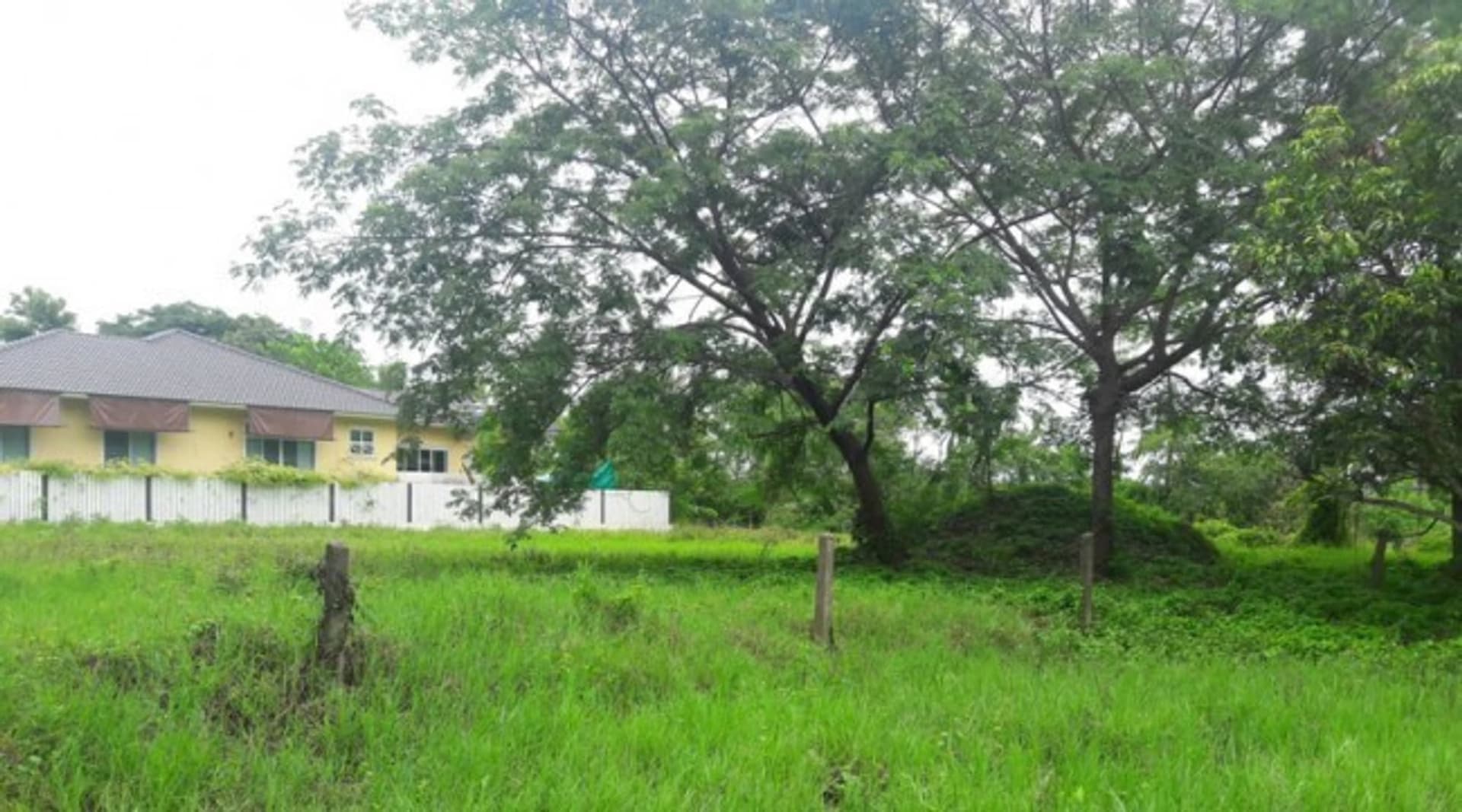  land 用于 出售 在 Hang Dong District - Image 3