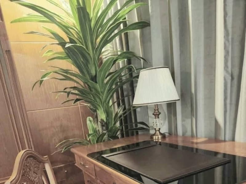 2 Bed Condo for Rent in Bangna