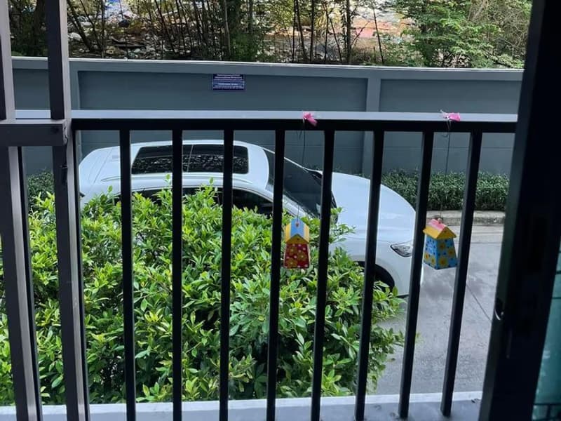 1 Bedroom Condo